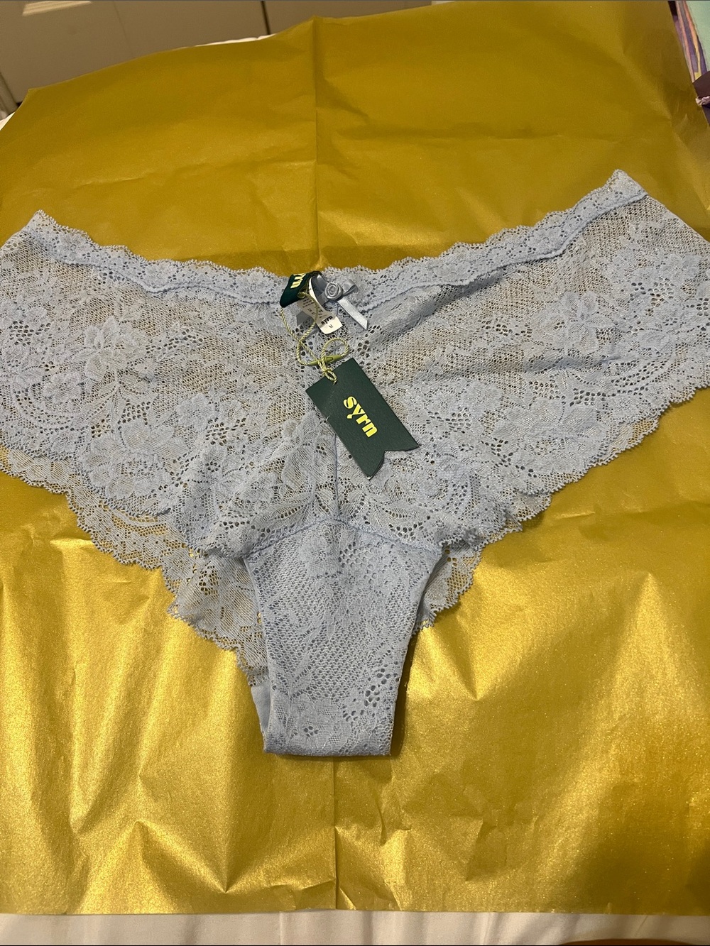 Lace Bikini Panty in Light Lavender by (no brand)